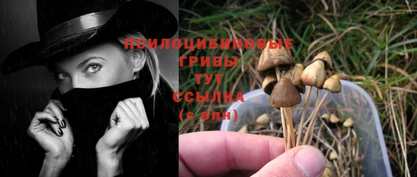 синтетический гашиш Абинск