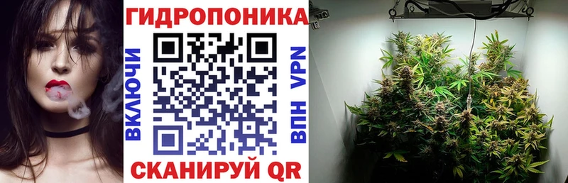 мориарти состав  Горячеводский  Бошки Шишки THC 21% 